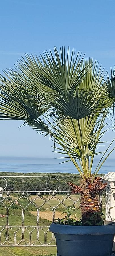 Villa Luiss Panorama Durrës Exterior foto
